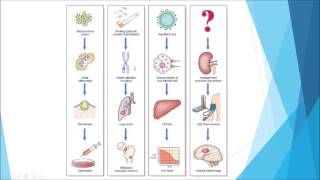 Pathology  Introduction and disease nomenclature [upl. by Eivlys684]