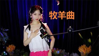 经典老电影《少林寺》插曲《牧羊曲》，优美的旋律勾起美好的回忆 [upl. by Menell]