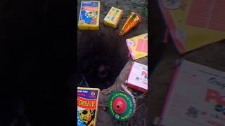 Different Types of Diwali Unique Crackers Testing In Hole  2024 💀 POV Crackers Chorsa  BIDI Bomb [upl. by Edaw955]