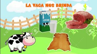 Derivados de los animales para niños [upl. by Madel]