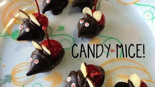 YUMMY DIY CANDY MICE [upl. by Beverley990]