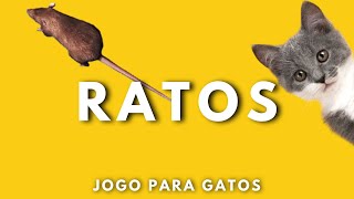 Jogos para gatos  RATOS🐀 [upl. by Pyotr]