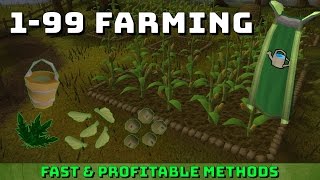 199 Farming Guide Runescape 3 Fast amp Profitable Methods [upl. by Lejna]