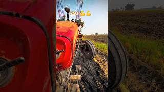 Massey 260 power with Lord troli  tractor buri tharha phas gaya 😂😂  tractor video tractorvideo [upl. by Ynoffit811]