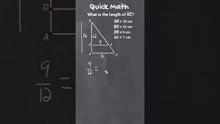 Similar Triangles And Proportion [upl. by Guthry471]