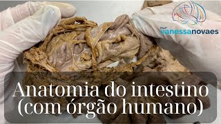 Você sabia que o ser humano pode ter até 9 metros de intestino [upl. by Llednov]