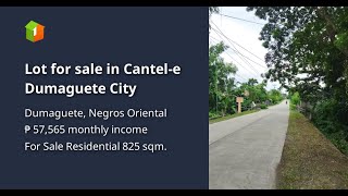 Lot for sale in Cantele Dumaguete City [upl. by Nira825]