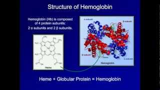 Dyshemoglobinemia Methemoglobin and Carbon Monoxide Poisoning ABG Interpretation  Lesson 19 [upl. by Niahs]