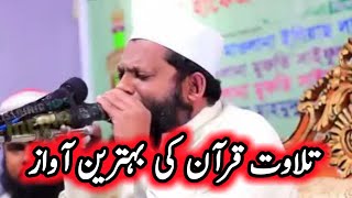 tilawat quran best voice  beautiful quran recitation  quran recitation really beautiful [upl. by Airednaxela]