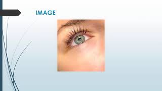 The best Lash Lifts in Cromer [upl. by Ennirac]