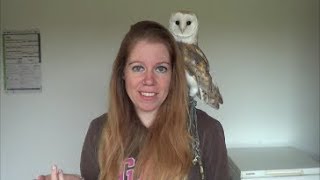 Learn to interpret owl screeches  my barn owl poops on me [upl. by Vikki289]