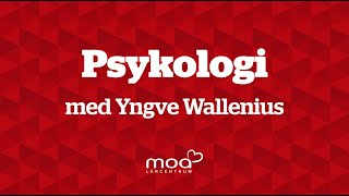 12 Psykologi  Psykologins historia [upl. by Remy]