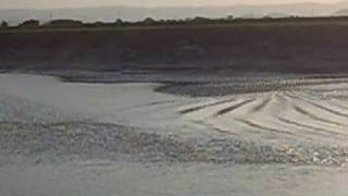 River Parrett Bore [upl. by Akiaki]