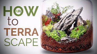 How to make a terrarium Simple Terrascape in an Ikea jar [upl. by Eillak418]