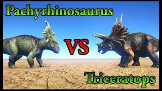 Pachyrhinosaurus VS Triceratops  ARK Survival Evolved  Cantex [upl. by Divaj805]