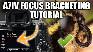 Sony A7IV Focus Bracketing Tutorial  Editing [upl. by Meikah]