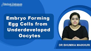 Researchers Produce Viable Embryo Forming Egg Cells from Underdeveloped Oocytes [upl. by Rexford]