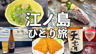 【江ノ島 日帰りひとり旅】湘南の海の幸を食べ尽くす江ノ島グルメ旅 [upl. by Ahsennod653]