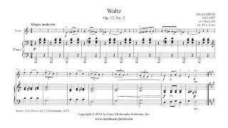 Grieg  Waltz Op 12 No 2  Violin and piano [upl. by Zolner]