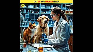 Cat vs Dog Saliva Proved Islam shorts [upl. by Burtie]