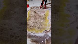 carpertcleaningwithheavyfoam very dirty carpet cleaning with hand shorts carpetcleaning [upl. by Caputto957]