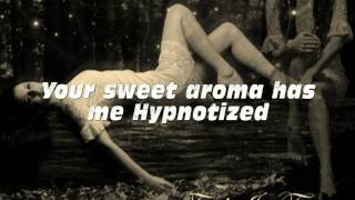 Drenalin  Hypnotized Lyrics Video [upl. by Lodie]