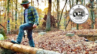 Building a Hardwood Log Cabin  Slow and Steady Progress  Ep 3 [upl. by Orvie]