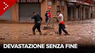 Alluvione Valencia scritte contro i politici La devastazione a Catarroja [upl. by Auginahs]