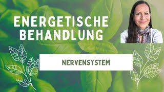 Das gesamte Nervensystems energetisch behandeln [upl. by Latin]