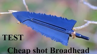 TEST Cheap Shot Broadhead by Cold Steel [upl. by Inalial122]