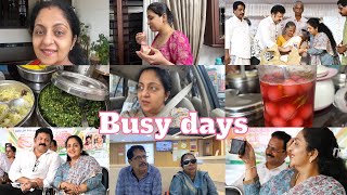 Busy Days  Sindhu Krishna [upl. by Adiazteb]