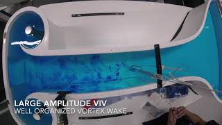 Vortex Induced Vibrations demo [upl. by Alleunam]