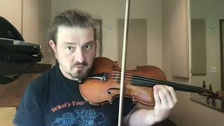 Borodin String Quartet No 2 Violin 1 Tutorial 1st movement [upl. by Jarad492]