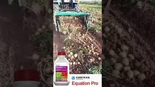 Equation Pro® Corteva Agriscience Potato Harvesting [upl. by Lathrope748]