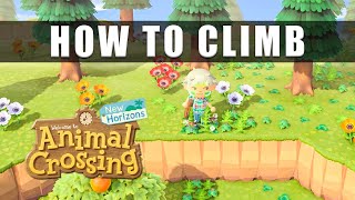 Animal Crossing New Horizons how to climb up the high cliff  How to get the ladder [upl. by Assyli451]