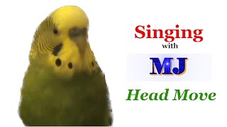 Green Bob the budgie singing with MJs move [upl. by Ydoow]