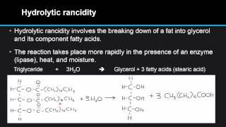 F34 Compare the processes of hydrolytic and oxidative rancidity in lipids [upl. by Reeves]