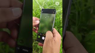 Oppo reno 12 5g camera testing pubgmobile [upl. by Seidler]