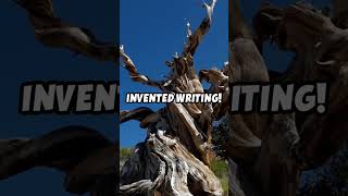 Discover the Worlds Oldest Tree🌲 ytshortsviralshortsyoutubeshortsshortvideo trendingshorts [upl. by Yeo]