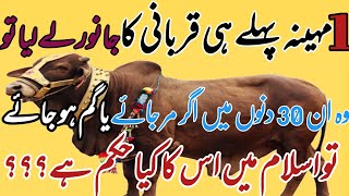 qurbani ka janwar agr 30 din ka andur mur jay ya gum ho jay ya phir chori ho jay to kya kra [upl. by Llekcm]