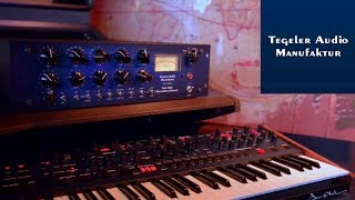 Vari Tube Recording Channel Dave Smith Instruments OB 6 no talking [upl. by Anwahsar]