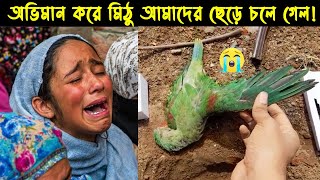 রবিউলদের কথা বলা টিয়া পাখির জীবনী পাখির গল্প ৫৪ The Life Story of Talking Parrot Bird Ekattor TV [upl. by Ardnuhs]