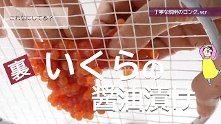 【ザクザクとれる！いくらをほぐす】裏ワザといくらの醤油漬けのレシピ [upl. by Leahsim]