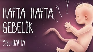 Hafta Hafta Gebelik 35 hafta [upl. by Akimot]