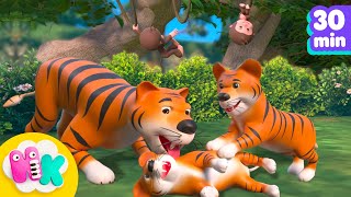 DschungelTierlied 🐯🐍 Entdecke Tiere für Kinder  HeyKids Kinderlieder TV [upl. by Arri]