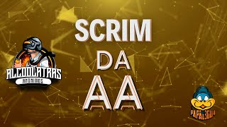 SCRIM DA AA  10112024 [upl. by Latsyc]