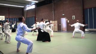 Aikido Yuishinkai Alkmaar Plusles 18042015 part 1 [upl. by Aniar]