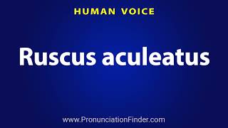 How To Pronounce Ruscus aculeatus [upl. by Ashlan167]