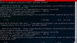 Descargar páginas web por comando en linux con wget [upl. by Nedgo]