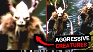 Revealing the Most Alarming Trail Camera Footage Ever Recorded [upl. by Ydna]